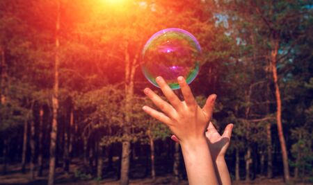 soap bubbles into the sunset with beautiful bokehの写真素材