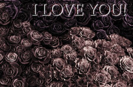 card love you with black roses . Greeting card with rosesの写真素材