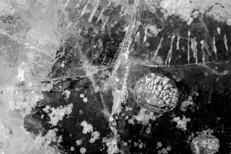 texture of the ice surface with bubbles. abstract winter background.の写真素材
