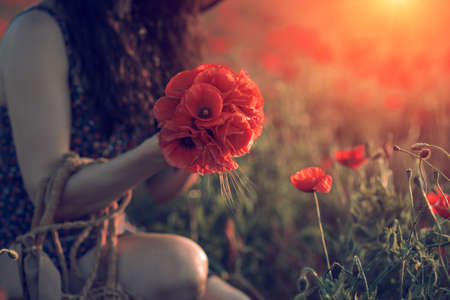 girl collects wild poppies in the field at sunset.symbol of remembrance.の写真素材