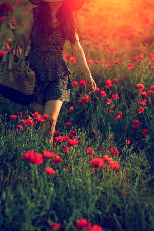 girl collects wild poppies in the field at sunset.symbol of remembrance.の写真素材