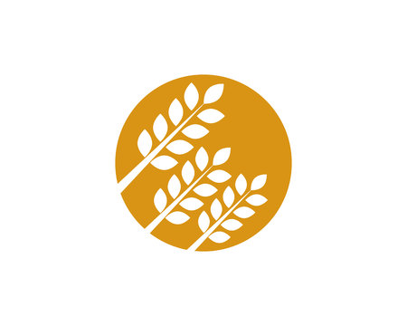 wheat Logo Templateのイラスト素材