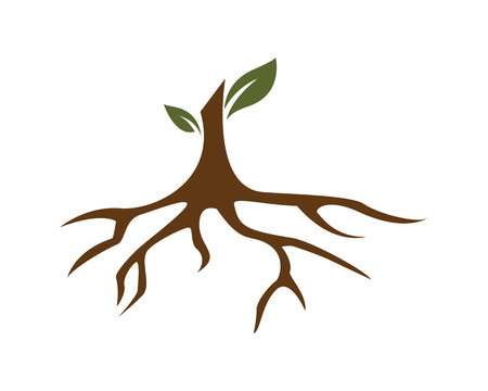 Eco Tree Leaf Logo Templateのイラスト素材