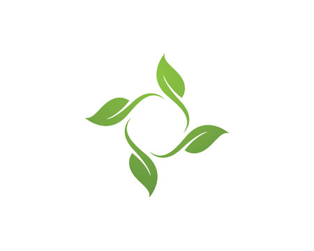 Eco Tree Leaf Logo Templateのイラスト素材