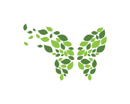 Butterfly Logo Templateのイラスト素材