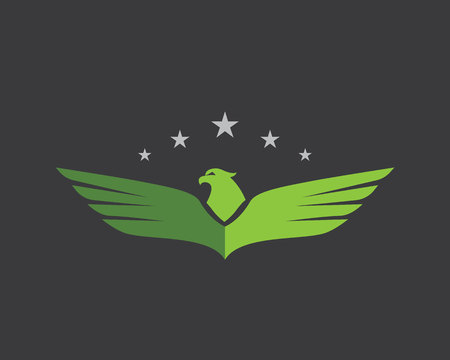 Falcon Wing Logo Template vector icon designのイラスト素材