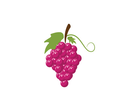 Bunch of wine grapes with leaf icon for food apps and websitesのイラスト素材