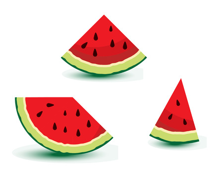 watermelon vector illustrationのイラスト素材