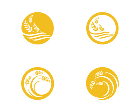 Agriculture wheat Logo Template, vector icon design.のイラスト素材