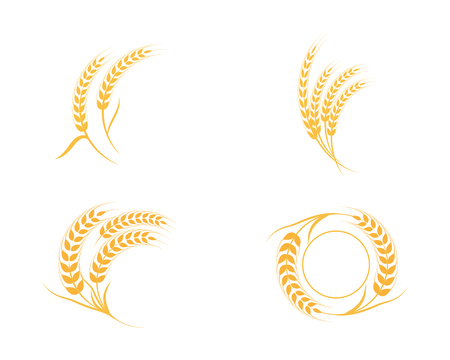 Agriculture wheat Logo Template vector icon design のイラスト素材