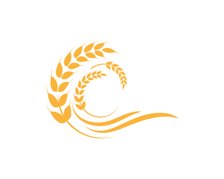 Agriculture wheat Logo Template vector icon design のイラスト素材