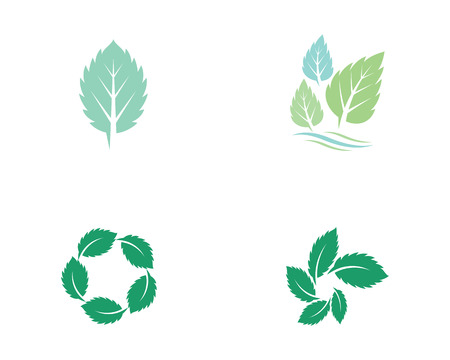 Mint leaves flat vector color icon templateのイラスト素材