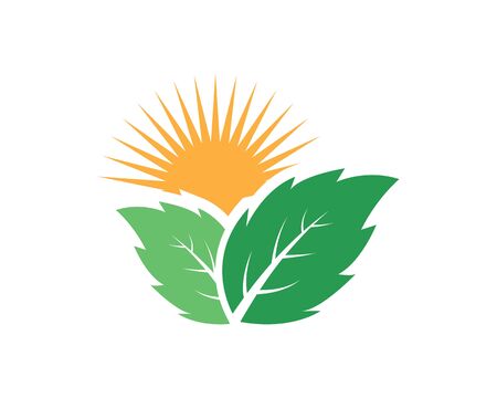 Mint leaves flat vector color icon templateのイラスト素材