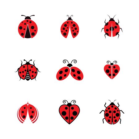 Beauty bug vector illustration icon design templateのイラスト素材