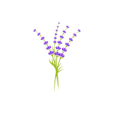 Lavender flower Vector icon illustration design Templateのイラスト素材