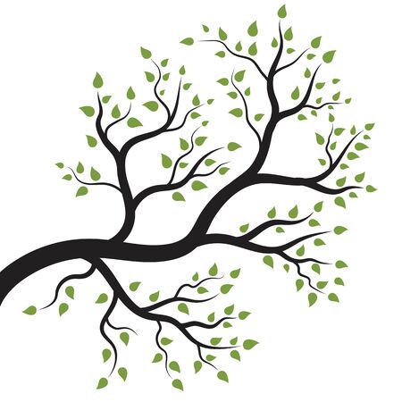 tree branch vector ilustration design templateのイラスト素材