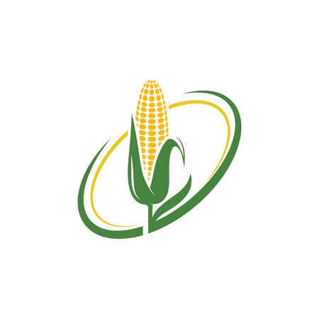 Agriculture corn vector icon design templateのイラスト素材