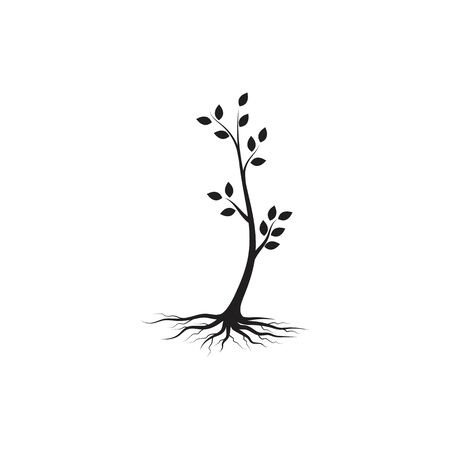 tree branch vector ilustration design templateのイラスト素材