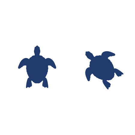 Turtle animal cartoon icon vector illustration