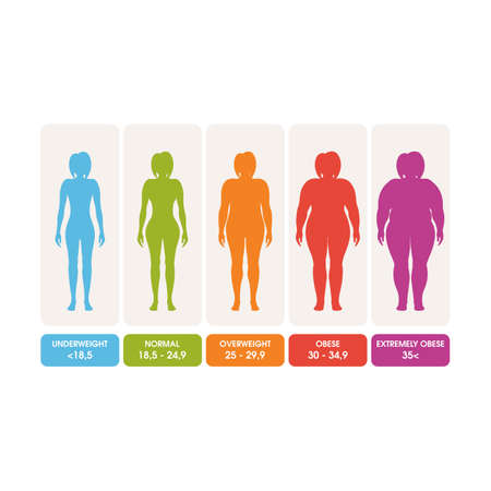 Body mass index vector illustration design templateのイラスト素材