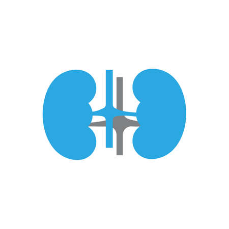 kidney vector illusrtation design logo templateのイラスト素材