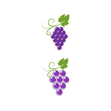 Grapes logo template vector icon illustration designのイラスト素材