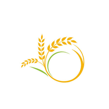 Agriculture wheat rice vector icon design templateのイラスト素材