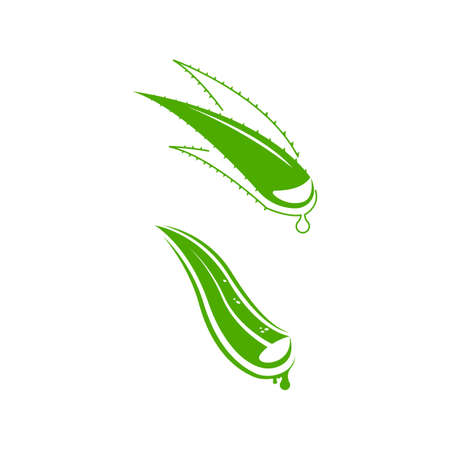 Aloe Vera Vector icon design illustration Templateのイラスト素材
