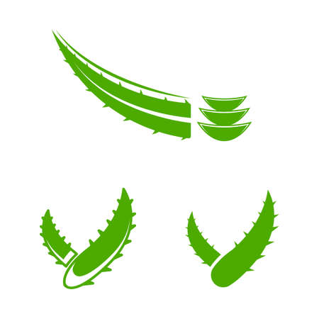 Aloe Vera Vector icon design illustration Templateのイラスト素材