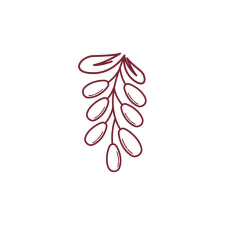 Date Bean icon vector illustration logo templateのイラスト素材