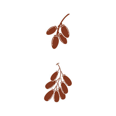 Date Bean icon vector illustration logo templateのイラスト素材