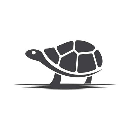 Turtle animal cartoon icon vector illustration