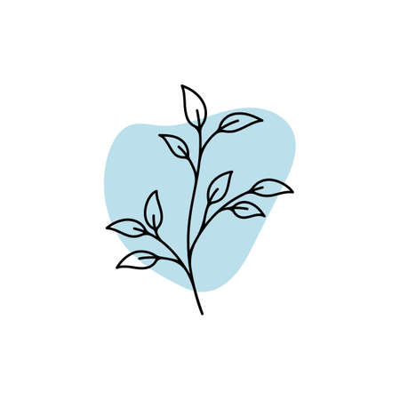 Beauty florist vector icon design templateのイラスト素材