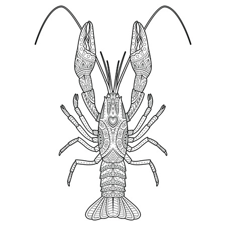 crawfish drawing for coloring book on isolatedのイラスト素材