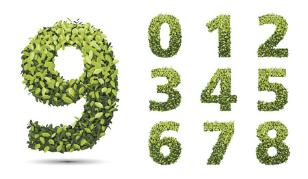 Numbers of autumn leaves collection, Fall bright green leaves elements, number leaves on isolated.のイラスト素材