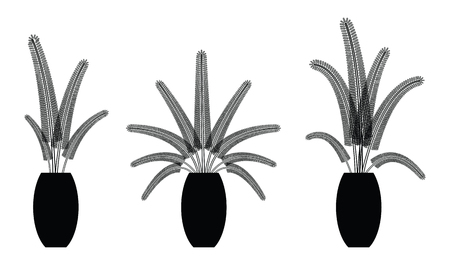 Fern flowers in the vase illustration.のイラスト素材