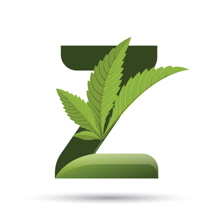 letter Z. medical marijuana, cannabis green leaf logo. vector illustration.のイラスト素材