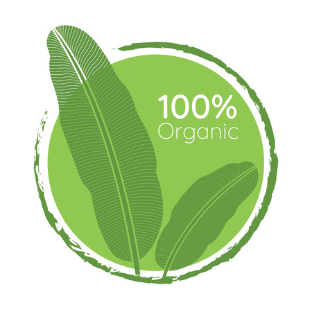 Organic 100% natural green leaf tropical sign. vector illustration.のイラスト素材