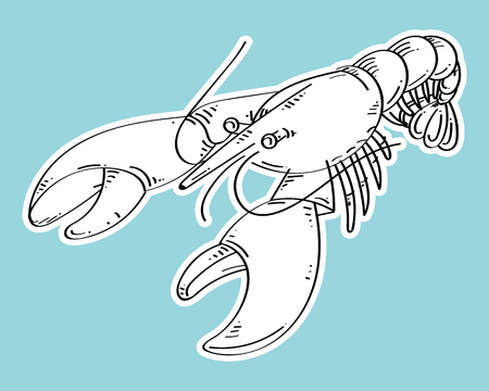 Lobster hand draw. Isolated on white background. Hand drawn vector illustration.のイラスト素材