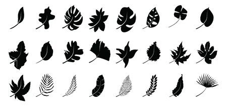 Set of silhouettes autumn leaves. Isolated on white background. vector illustrations.のイラスト素材