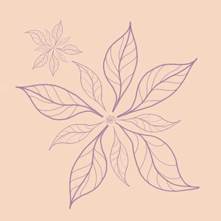 Beige flower poinsettia pattern.の写真素材