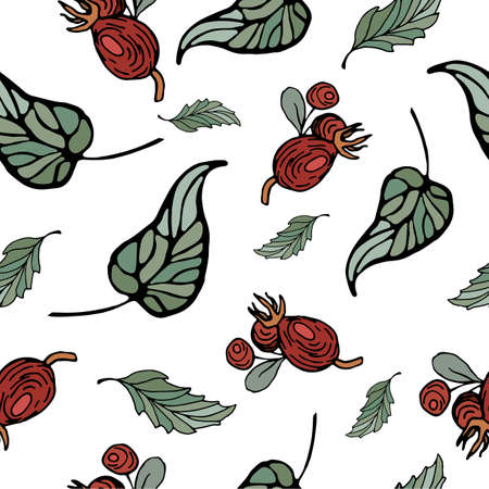 Autumn pattern with bright vector leaves and fruits. Autumn pattern of hand drawn doodles. Juicy berries and green leaves.のイラスト素材