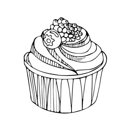 Blackberry blueberry raspberries cupcake. National Cupcake Day. Sweetest Day. Vector doodle illustration of dessert food in vintage style. For menu, cookbook, postcard, poster.のイラスト素材