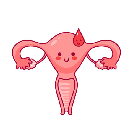 Uterus. Cute cartoon character in kawaii style. Drop of blood, menstruation. Women Health. Female reproductive system, cycle. anatomy, cervix, ovaries, fallopian tubes. Vector illustration, flat styleのイラスト素材