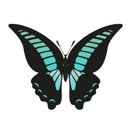 A stunning vector illustration of the Butterfly Graphium sarpedon, blue wings. This artwork highlights the intricate patterns and delicate beauty of this species, perfect for nature enthusiasts.のイラスト素材