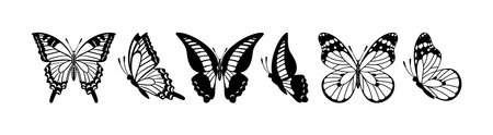 vector illustration features a set of butterfly silhouettes, including Danaus plexippus, Graphium sarpedon, and Swallowtail. Ideal for various design projects, showcasing elegance and diversity in nature.のイラスト素材
