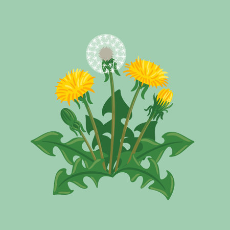 An artistic representation of a fully blossomed dandelion highlights its soft yellow petals and fluffy seed head, rich in vibrant colors that capture the essence of spring and the spirit of renewal.のイラスト素材
