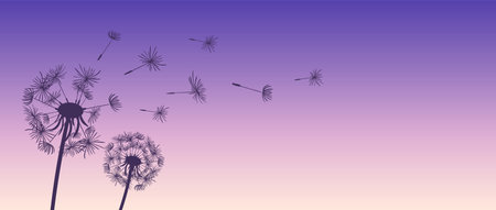 A horizontal background features silhouettes of dandelions and floating seeds against a stunning gradient sunset. The colors create a serene atmosphere, highlighting the beauty and tranquility of nature.のイラスト素材