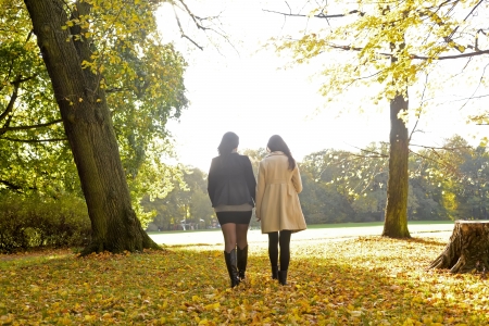 women walking in autumn park, rear viewの写真素材