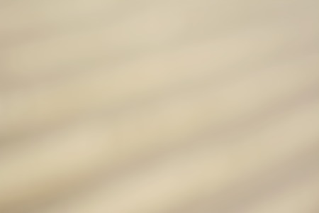 blurred backgroundの写真素材